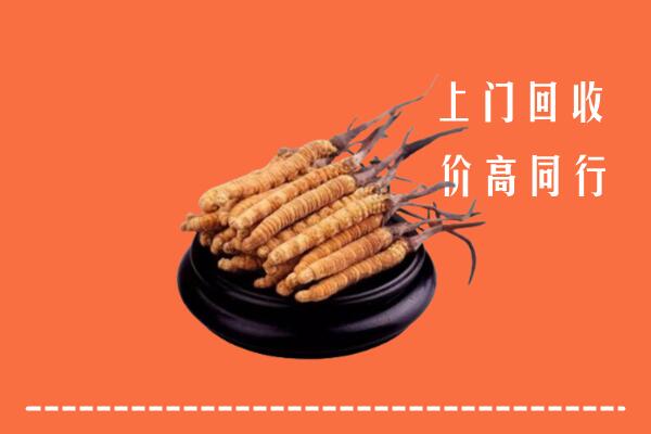 高价求购：厦门市回收散虫草