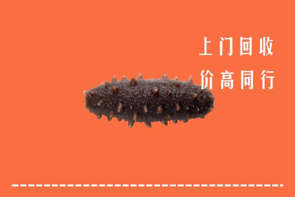 高价求购：厦门市回收海参