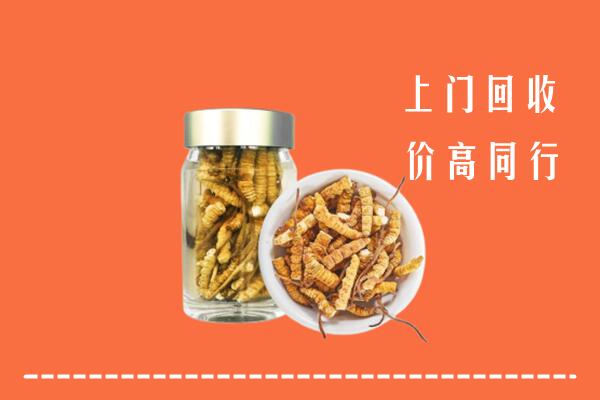 厦门市回收冬虫夏草